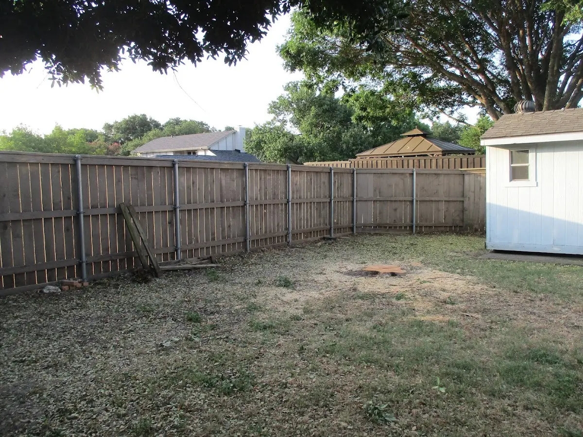 Cleared yard after professional tree removal in Fort Stockton