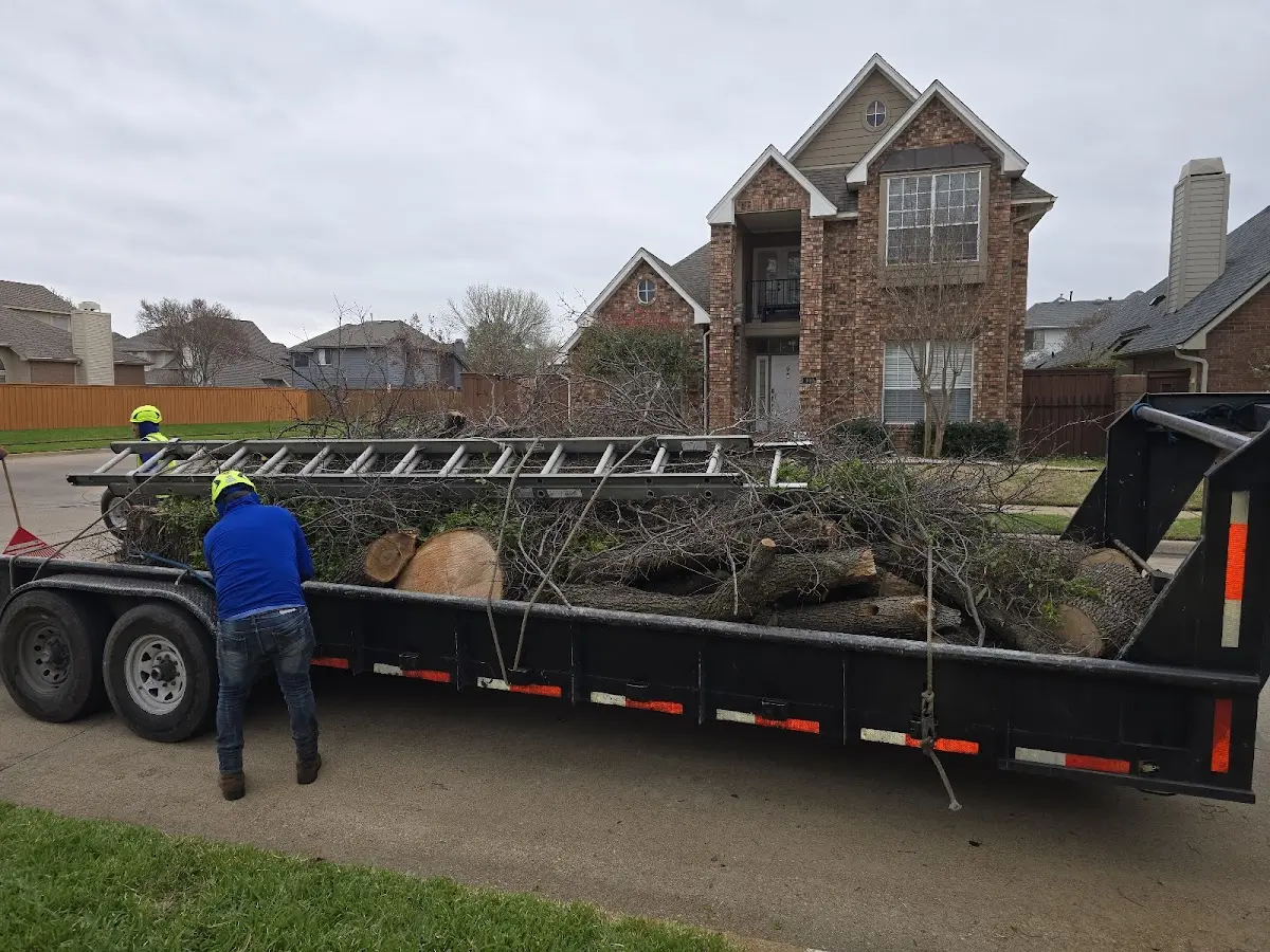 Expert Tree Fertilization with proper safety equipment in Fort Stockton